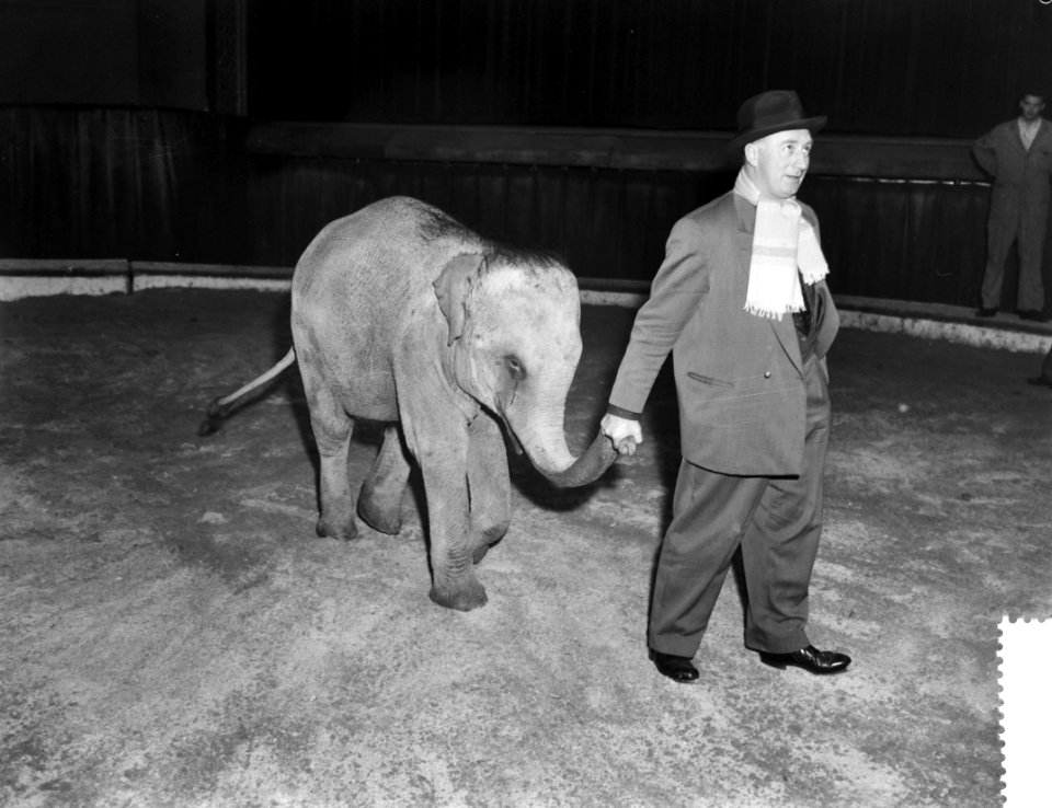 Repetities voor Circus Strassburger in Carre, Bestanddeelnr 910-8941