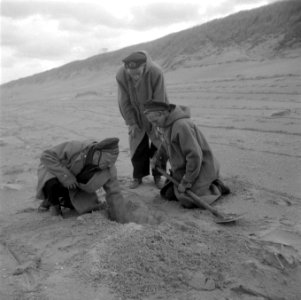 Reportage MOD, Bestanddeelnr 902-3795