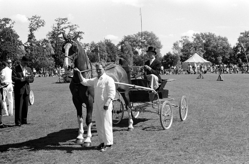 Reportage Concours Hippique Zandpoort, Bestanddeelnr 914-1786