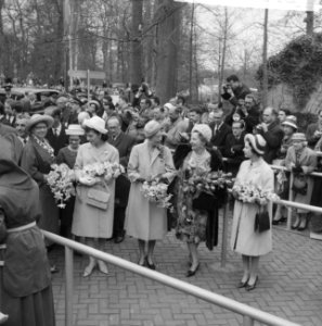 Reportage van de Keukenhof, Bestanddeelnr 913-8591