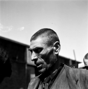 Reportage van het interneringskamp op de Levantkade te Amsterdam. Nu zijn er ca., Bestanddeelnr 900-4212