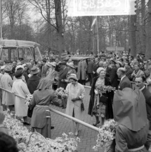 Reportage van de Keukenhof, Bestanddeelnr 913-8585