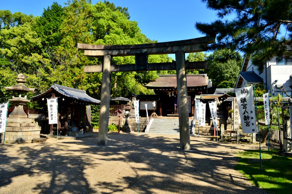 Rikyu-hachimangu, torii-2