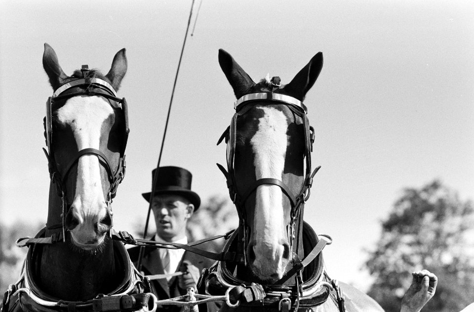 Reportage Concours Hippique Zandpoort, Bestanddeelnr 914-1777