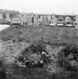Reportage begraafplaats te Vollenhove met graven van Engelse vliegeniers, Bestanddeelnr 901-0096