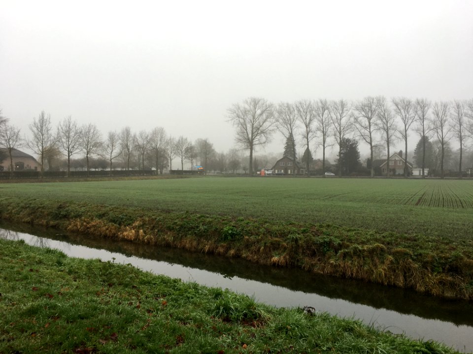 Ressen (Lingewaard) during winter