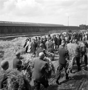 Reportage van het interneringskamp op de Levantkade te Amsterdam. Nu zijn er ca., Bestanddeelnr 900-4227