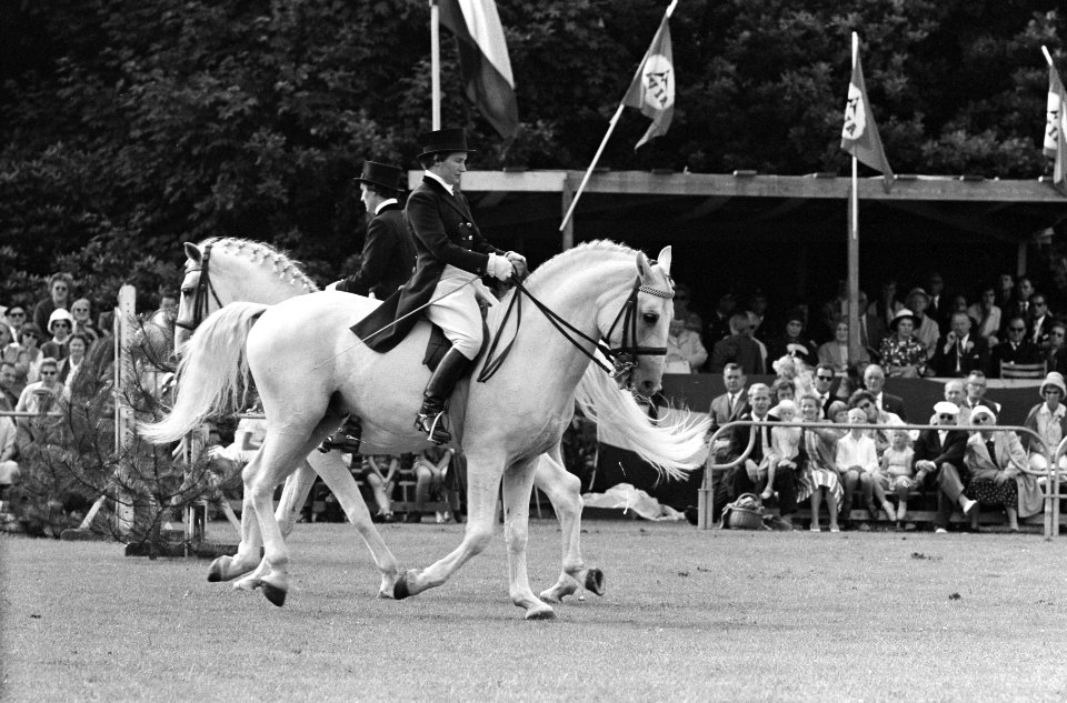 Reportage Concours Hippique Zandpoort, Bestanddeelnr 914-1779