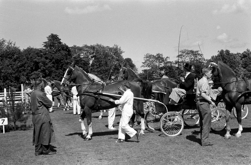 Reportage Concours Hippique Zandpoort, Bestanddeelnr 914-1773