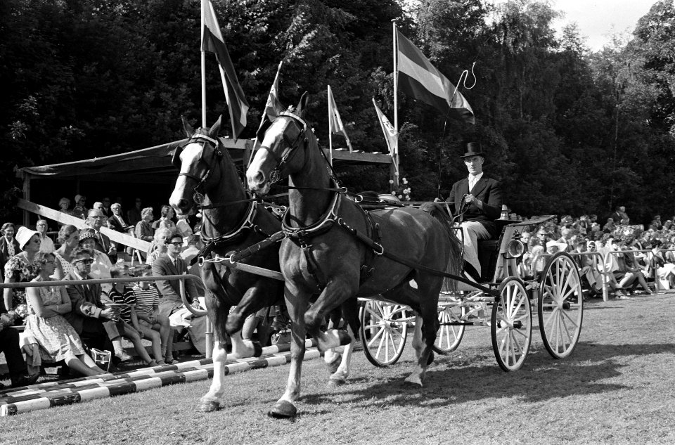 Reportage Concours Hippique Zandpoort, Bestanddeelnr 914-1787