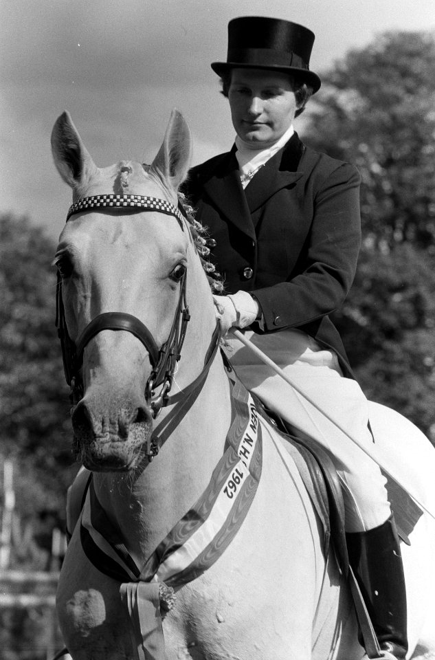 Reportage Concours Hippique Zandpoort, Bestanddeelnr 914-1785