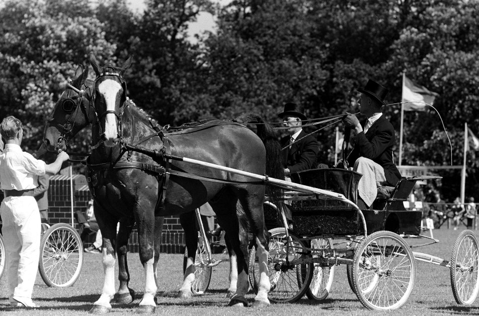 Reportage Concours Hippique Zandpoort, Bestanddeelnr 914-1784
