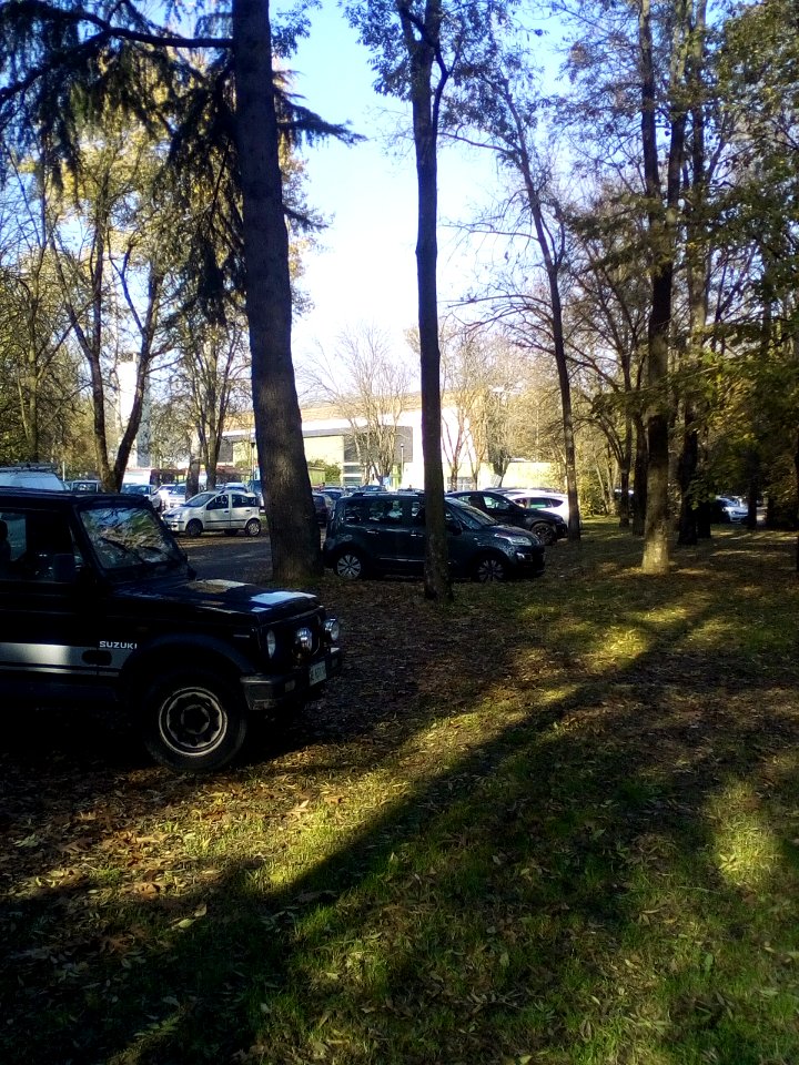 Rivalta(RE)38