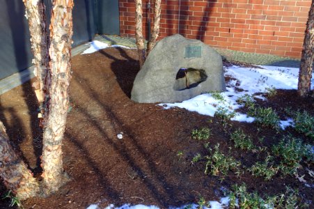 Representative John J. Toomey Park - Cambridge, MA - DSC02082