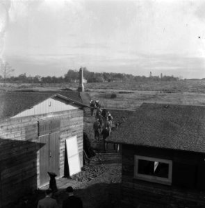 Reportage van het werk van de Stichting Oorlogs Pleegkinderen op het gebied van, Bestanddeelnr 900-9314