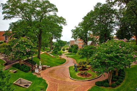 Scenic schools colleges