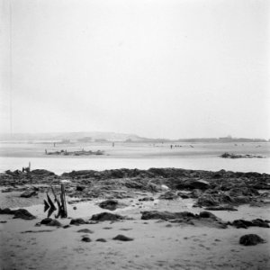 Reportage van het slagveld na de strijd om de Scheldemonding (Westkapelle), Bestanddeelnr 900-2001