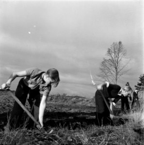 Reportage van het werk van de Stichting Oorlogs Pleegkinderen op het gebied van, Bestanddeelnr 900-9346