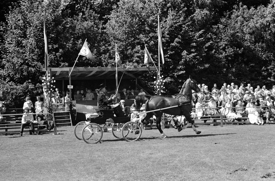 Reportage Concours Hippique Zandpoort, Bestanddeelnr 914-1775