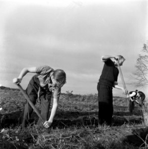 Reportage van het werk van de Stichting Oorlogs Pleegkinderen op het gebied van, Bestanddeelnr 900-9347