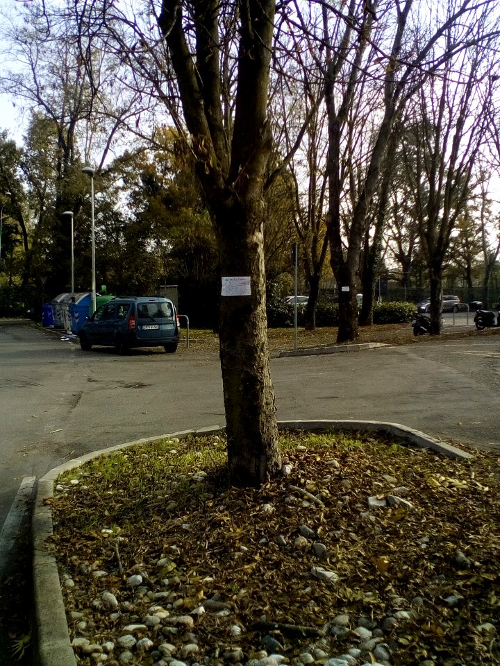Rivalta(RE)47