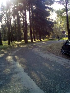 Rivalta(RE)44