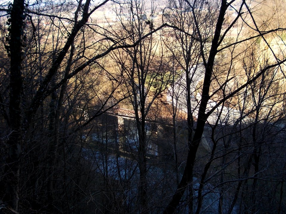 Risvica 18