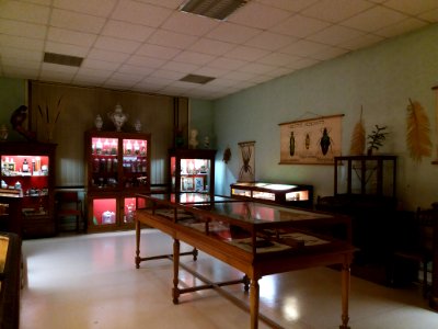 Rillieux-la-Pape - Musée Testut-Latarjet, salle de la pharmacologie (2)