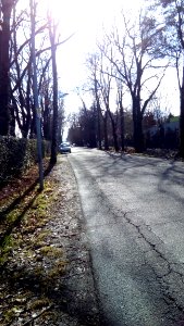 Rivalta(RE) 99