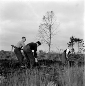 Reportage van het werk van de Stichting Oorlogs Pleegkinderen op het gebied van, Bestanddeelnr 900-9371
