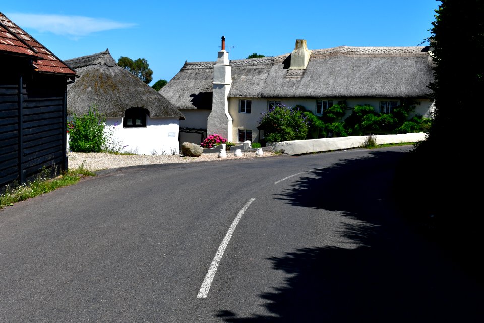 Ringmore (2021-07-18) 43