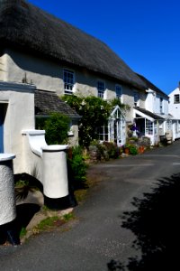 Ringmore (2021-07-18) 17