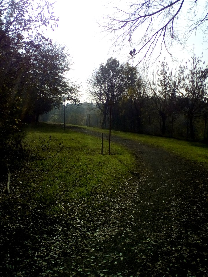 Rivalta(RE)6