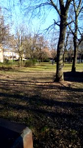 Rivalta(RE) 39