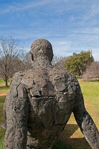 Male seated art photo