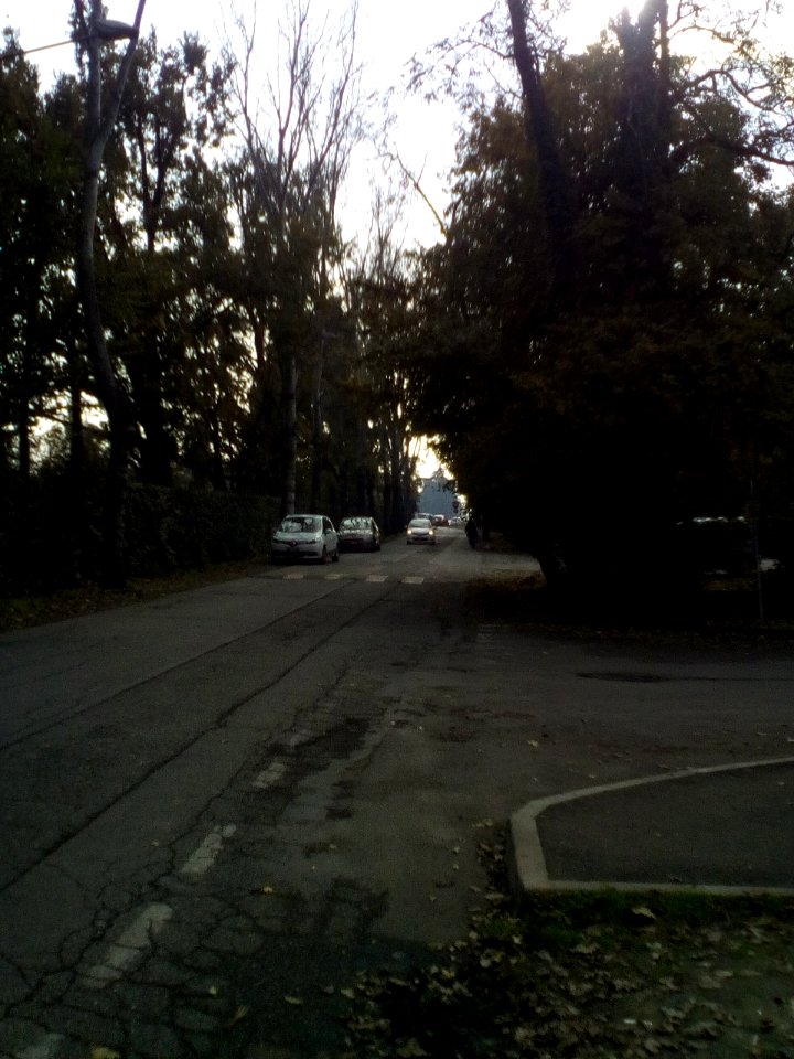 Rivalta(RE)59