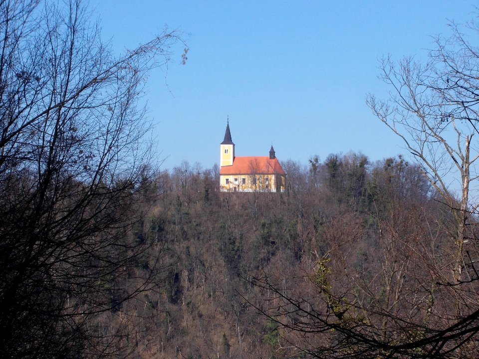 Risvica 17