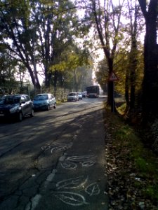 Rivalta(RE)78