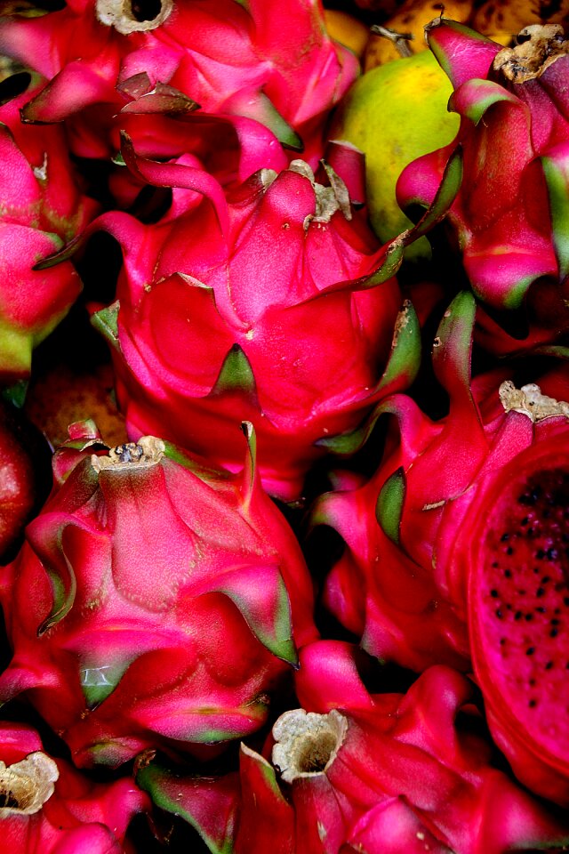 Colorful culinary dragonfruit