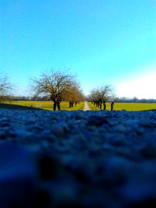 Rivalta(Reggio Emilia)3
