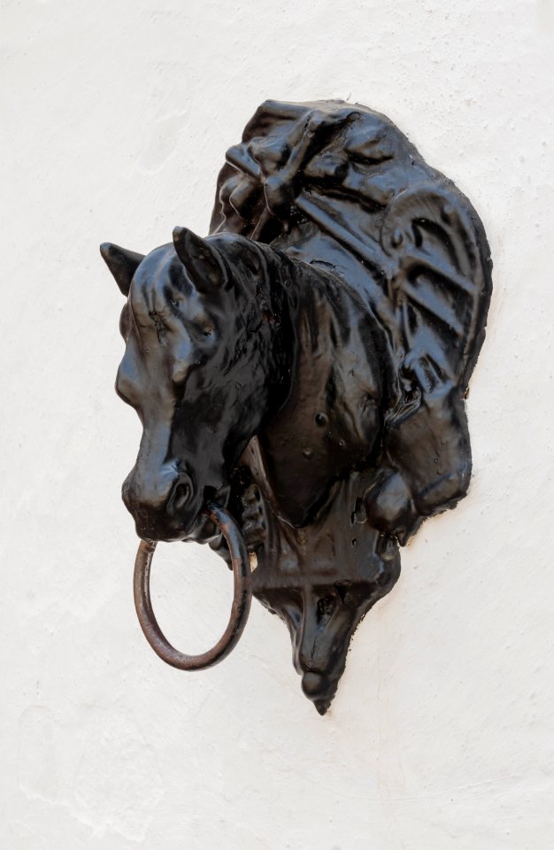 Ring horse head real maestranza Seville Spain