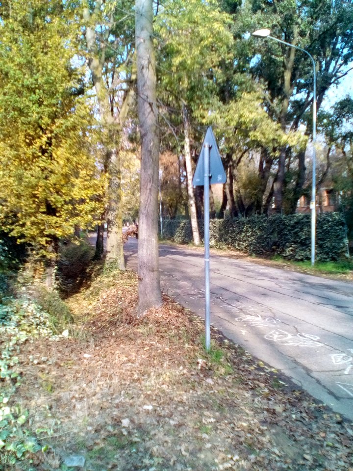 Rivalta(RE)58