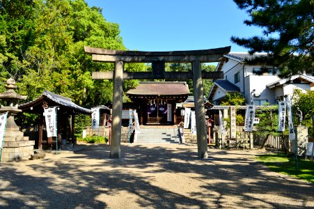 Rikyu-hachimangu, torii-1