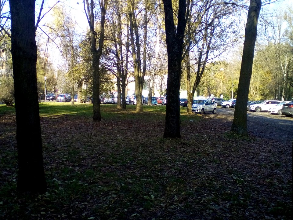 Rivalta(RE)39