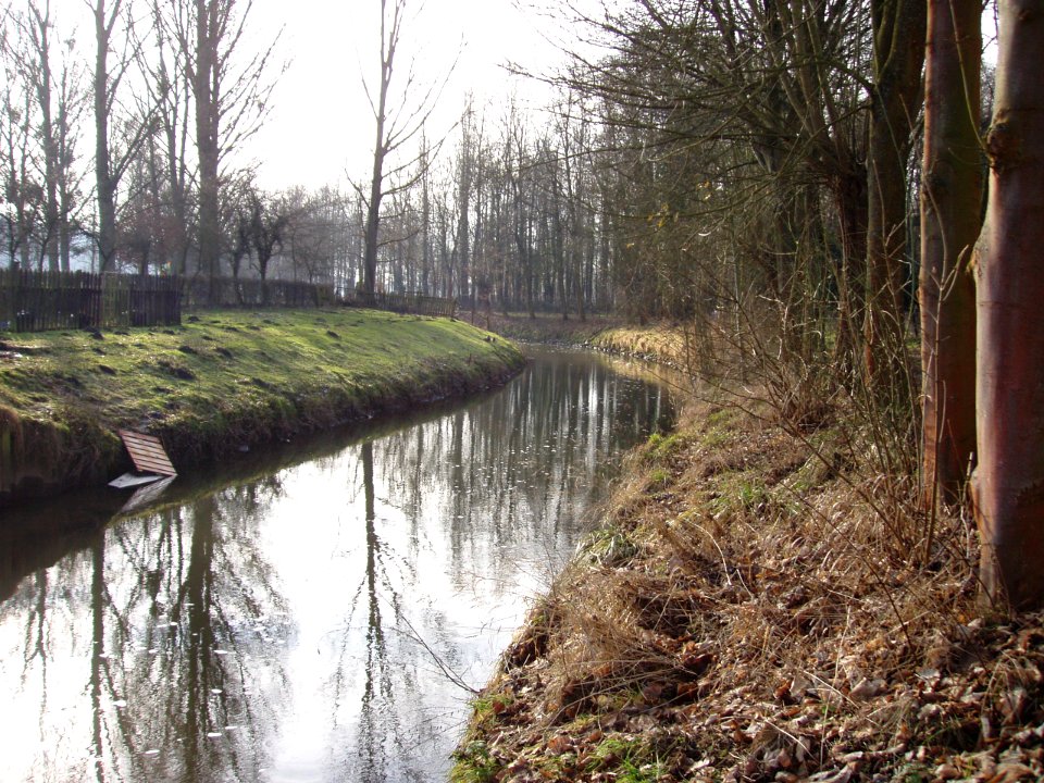 Rimburg-Rimburgermolen-1