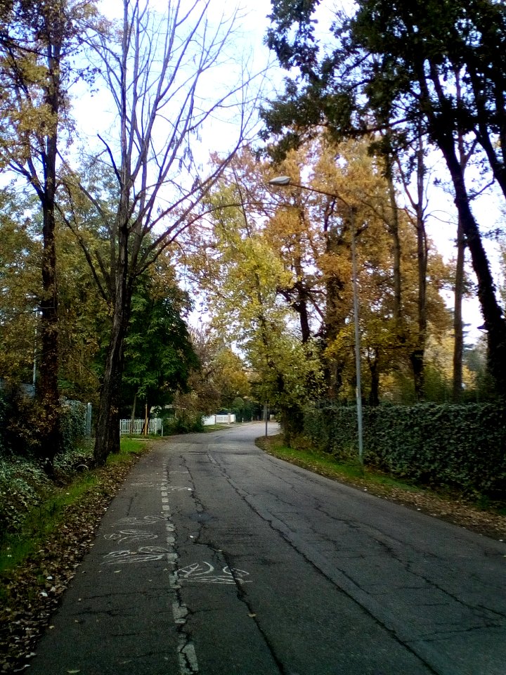 Rivalta(RE)61
