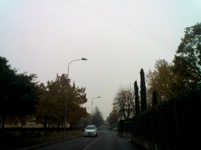 Rivalta(RE)109