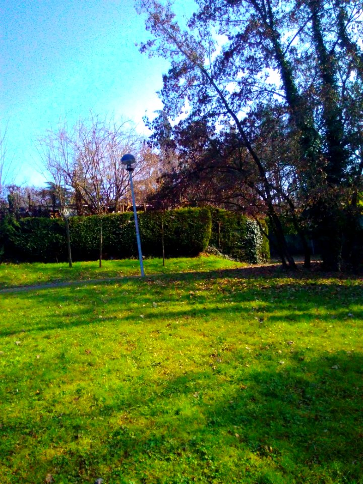 Rivalta(R.Emilia)63