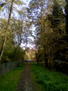 Rivalta(RE)74