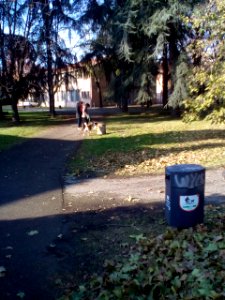 Rivalta(RE)31